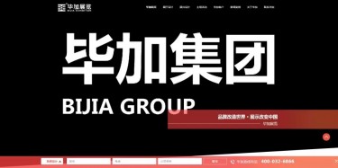 重磅喜讯——毕加新官网出炉了